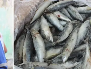Famílias em situação de vulnerabilidade são beneficiadas com entrega de peixes em Boa Vista do Tupim