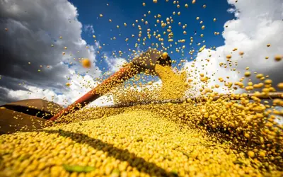 Mato Grosso supera Argentina e se torna terceiro maior produtor de soja